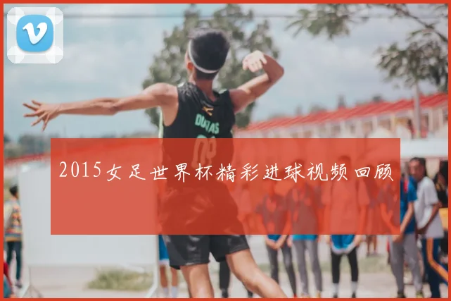 2015女足世界杯精彩进球视频回顾