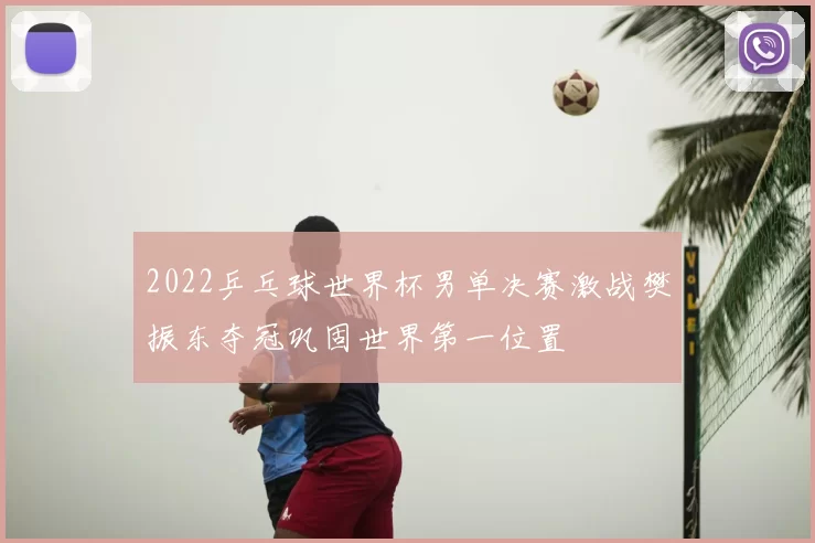 2022乒乓球世界杯男单决赛激战樊振东夺冠巩固世界第一位置