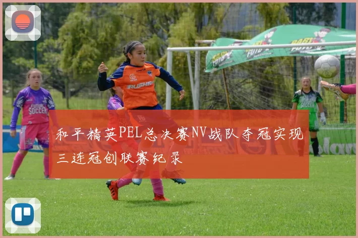 和平精英PEL总决赛NV战队夺冠实现三连冠创联赛纪录