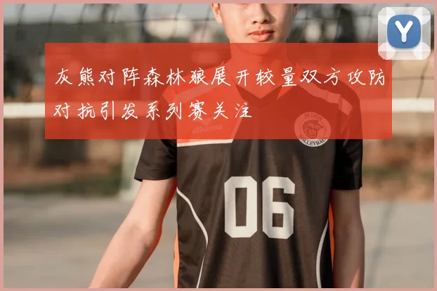 灰熊对阵森林狼展开较量双方攻防对抗引发系列赛关注