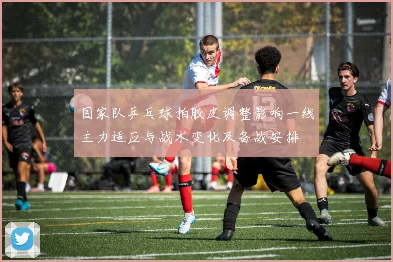 国家队乒乓球拍胶皮调整影响一线主力适应与战术变化及备战安排