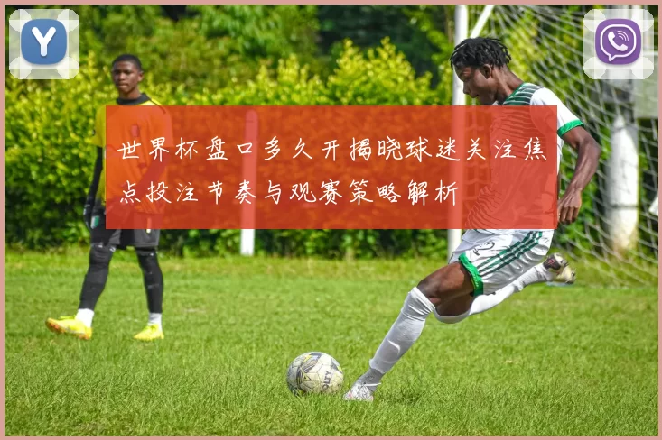 世界杯盘口多久开揭晓球迷关注焦点投注节奏与观赛策略解析